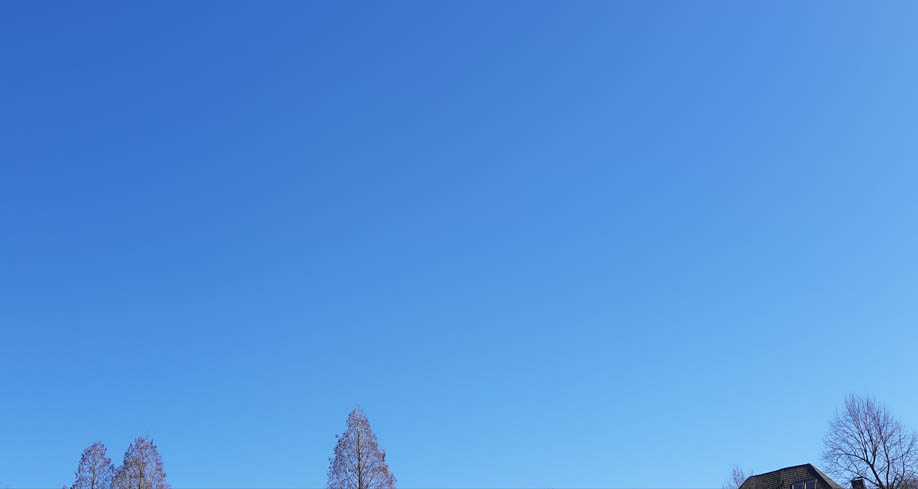 Foto-Beispiel zum Starterkit ein Stück Himmel. Das Foto besteht aus Himmel. Zu sehne ist eine blaue Fläche ohne Wolken mit ein paar wenigen Baumkronen.