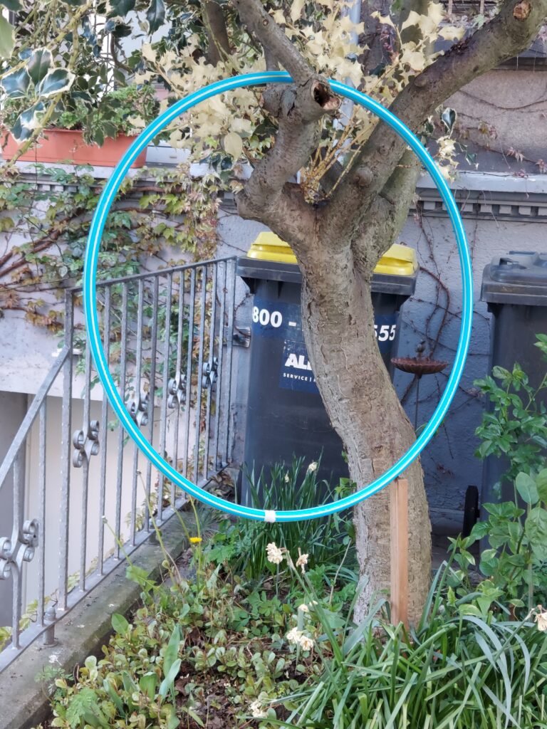 Beispiel-Foto, das Prinzip "And-on(e) im Stadtraum auf einer Wiese, ein  Hula hopp-Reifen in der Farbe Türkis hängt an einem Ast eines  Baumes, der Baum steht in einem Vorgarten vor einer gelben Tonne und blüht